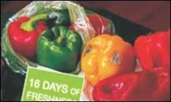 Keep Fresh Bags 3
